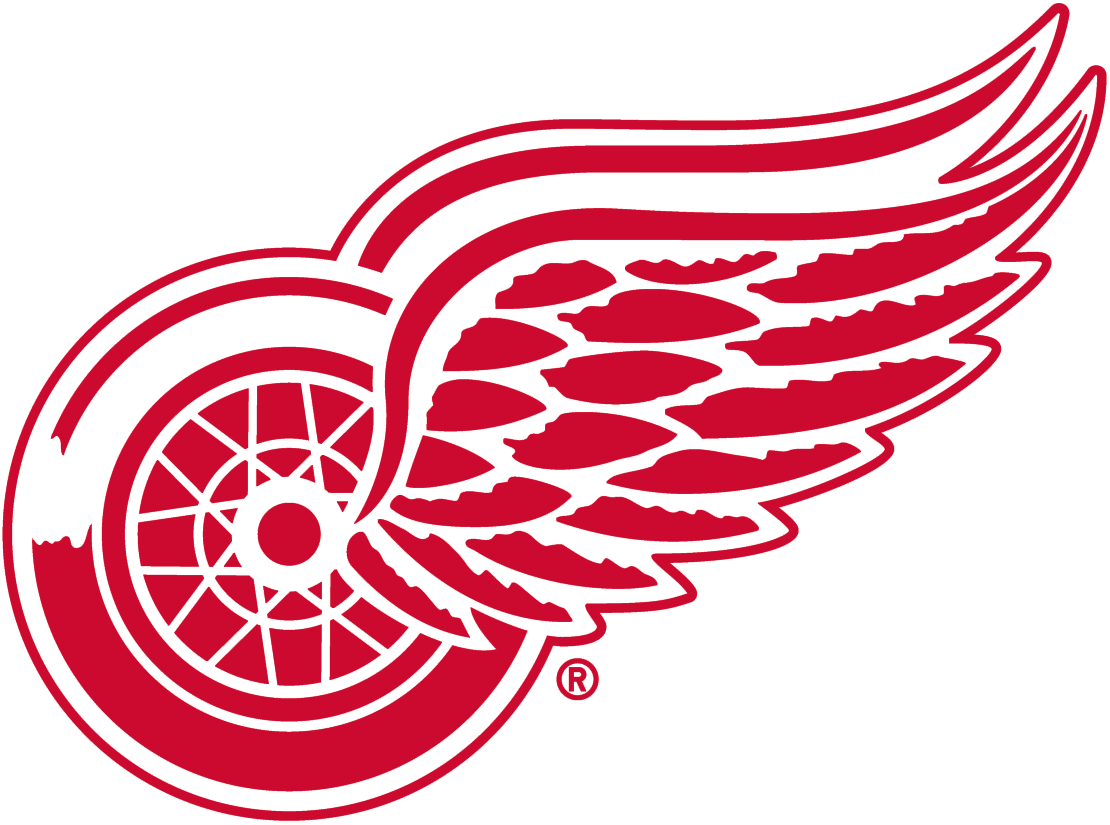 Detroit Red Wings 1948-Pres Primary Logo DIY iron on transfer (heat transfer)